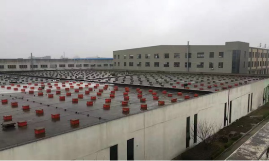 閑置屋頂變能源寶庫(kù) 天愛能源攜手潤(rùn)達(dá)光伏，604.8kW綠色電站點(diǎn)亮未來